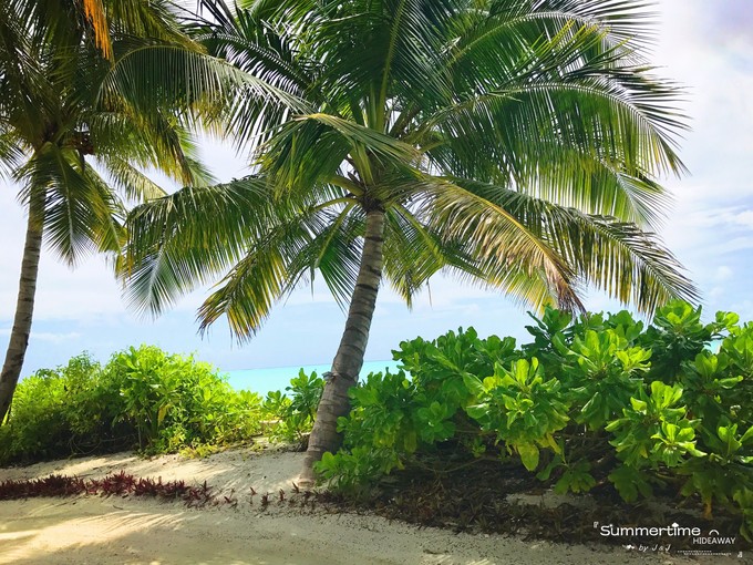 神仙珊瑚岛Island Hideaway